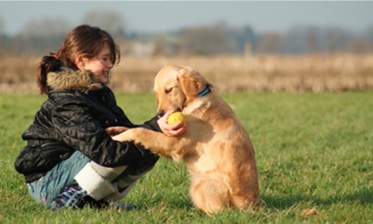 Stichting HERO